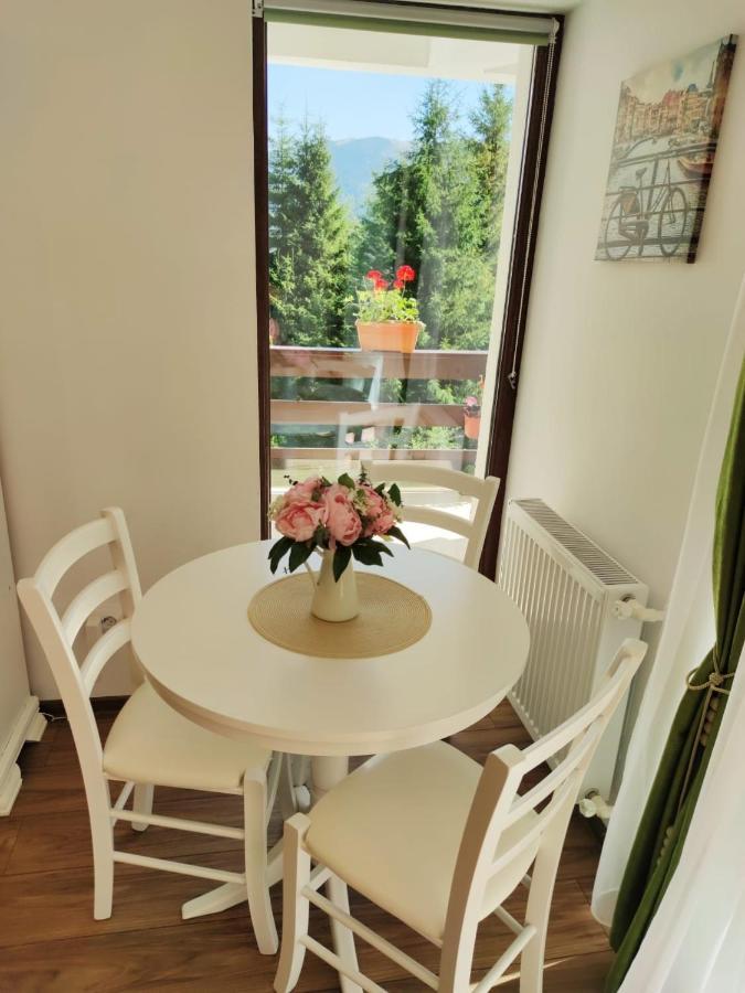 Green Studio Predeal Luaran gambar